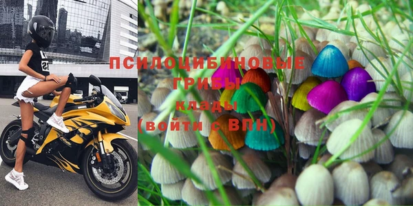 ГАЛЛЮЦИНОГЕННЫЕ ГРИБЫ Зерноград